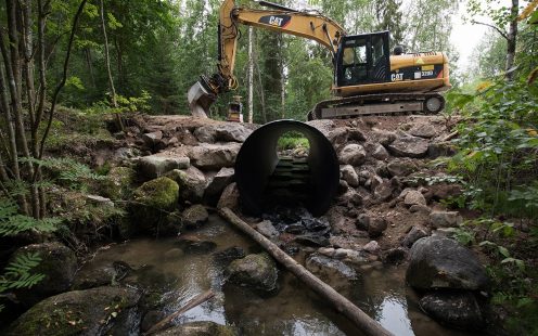 ERIKOISVALMISTEINEN TIERUMPU TAIMENIEN AVUKSI